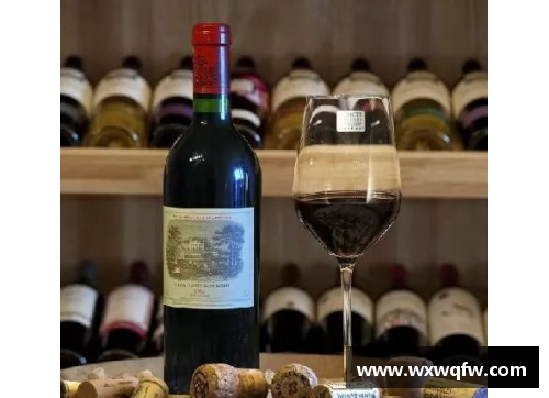 卡卡颂古堡红葡萄酒价格对比与推荐